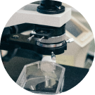 Jovclé 顯微鏡